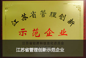 江苏省管理创新示范企业.jpg