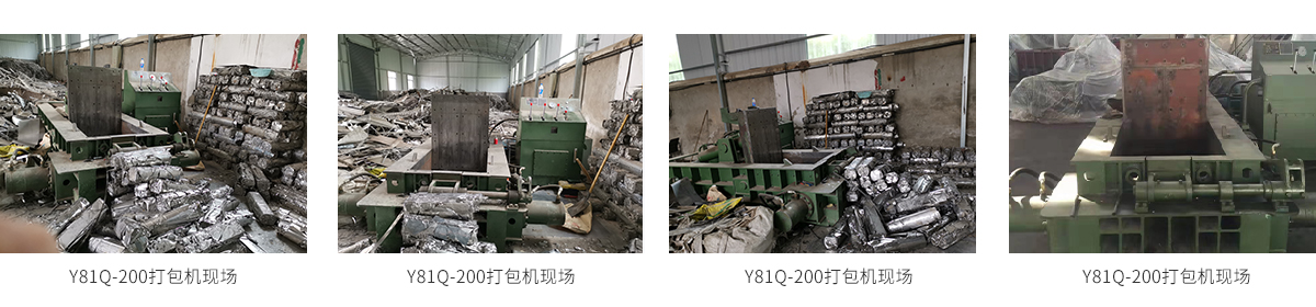Y81Q-200_06.jpg